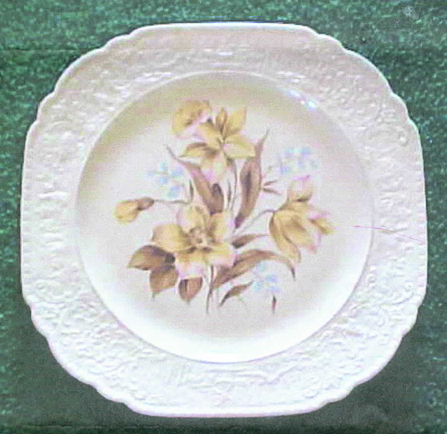 UNI102 Dinner Plate by Universal-1