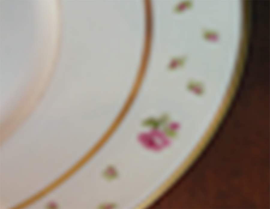 UNC111 Dinner Plate by Union Ceramique-1