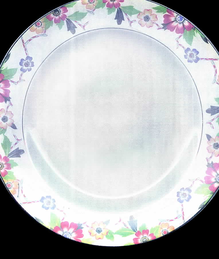 UNI106 Luncheon Plate by Universal-1