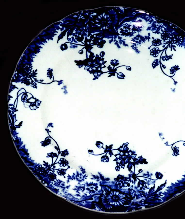 503 Dinner Plate by J Plant (Stoke)-1