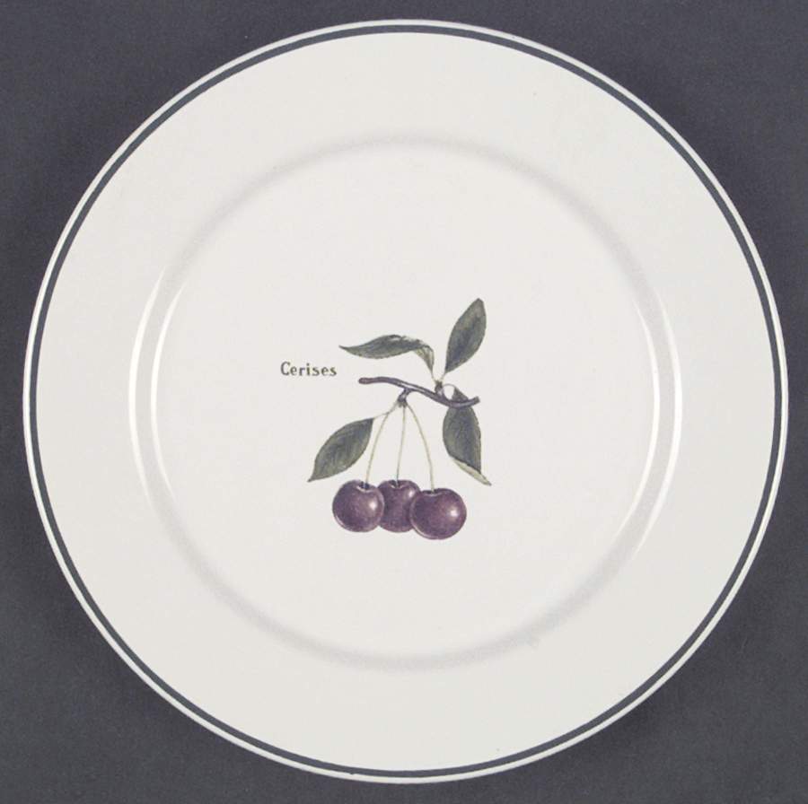Jardin De France Salad Plate by Ulster-1