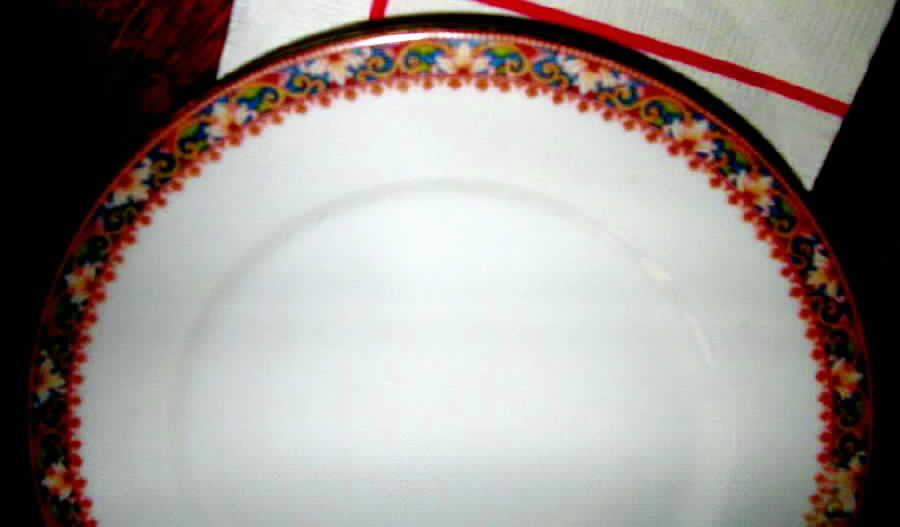 UNC121 Dinner Plate by Union Ceramique-1
