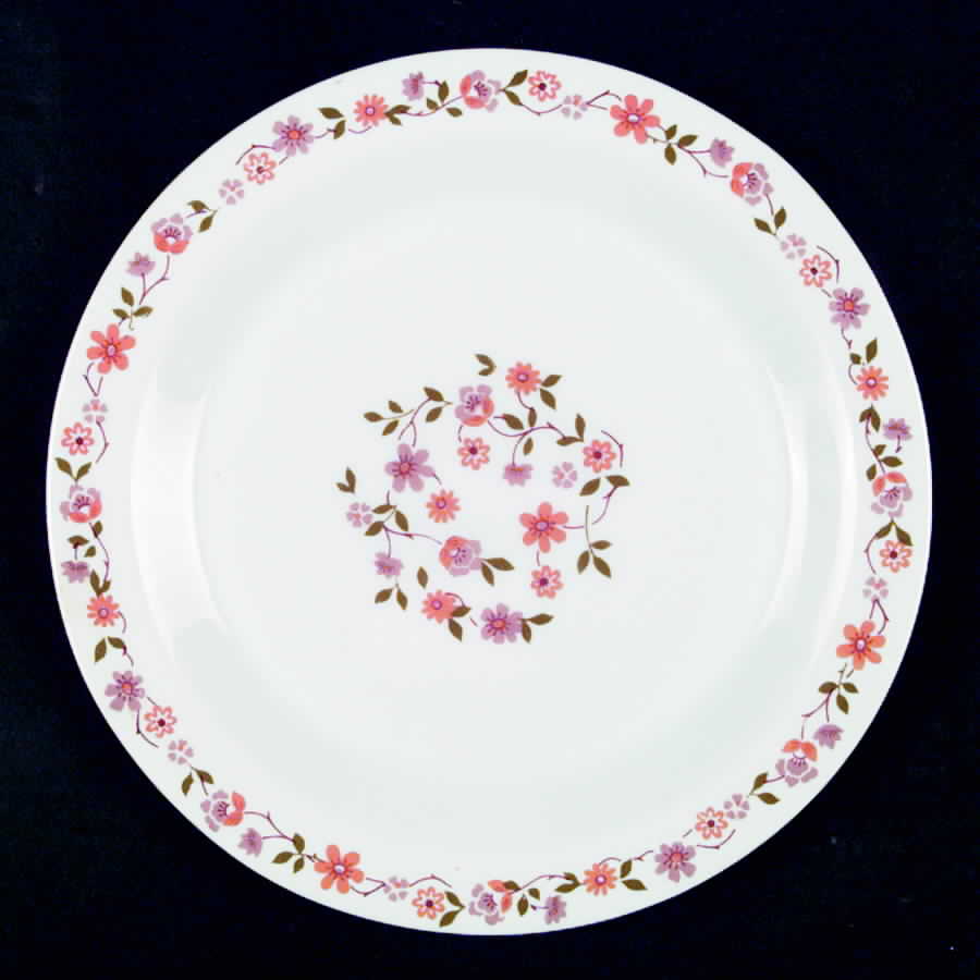 Scania Dinner Plate by Arcopal-1