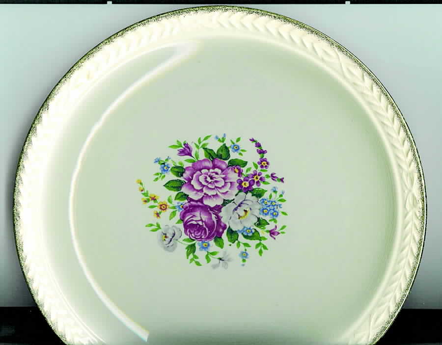 UNI121 Dinner Plate by Universal-1