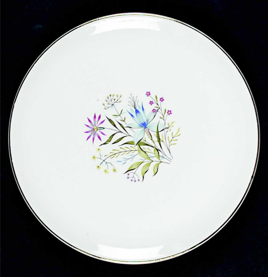 Harmony Salad Plate by USA-1