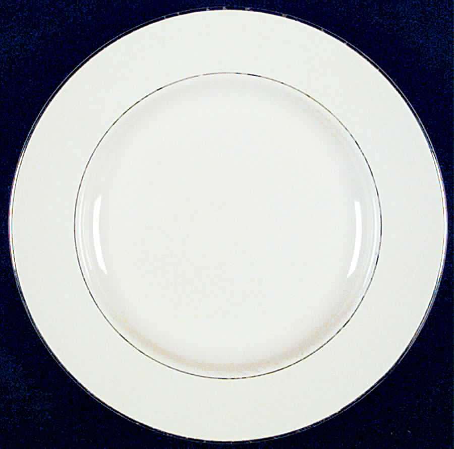 UNI124 Dinner Plate by Universal-1