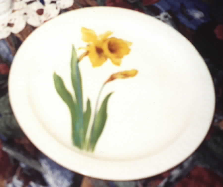 Daffodil Dinner Plate by Universal-1