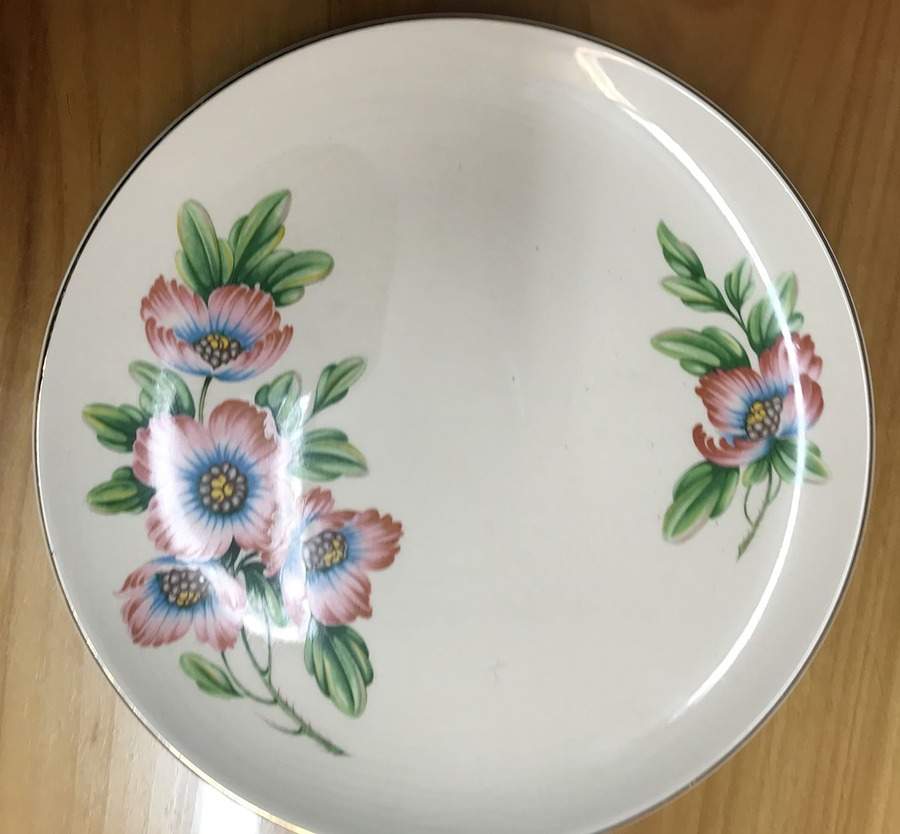 UNI134 Dinner Plate by Universal-1