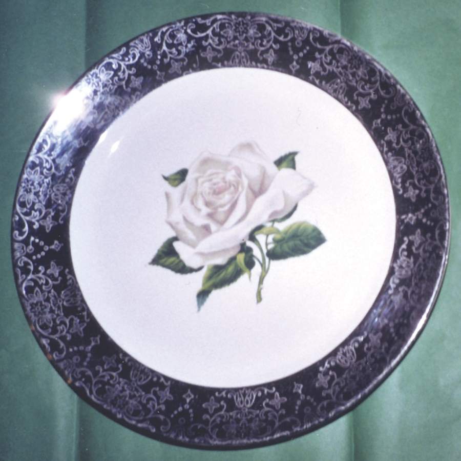 Silver Queen Dinner Plate by USA-1
