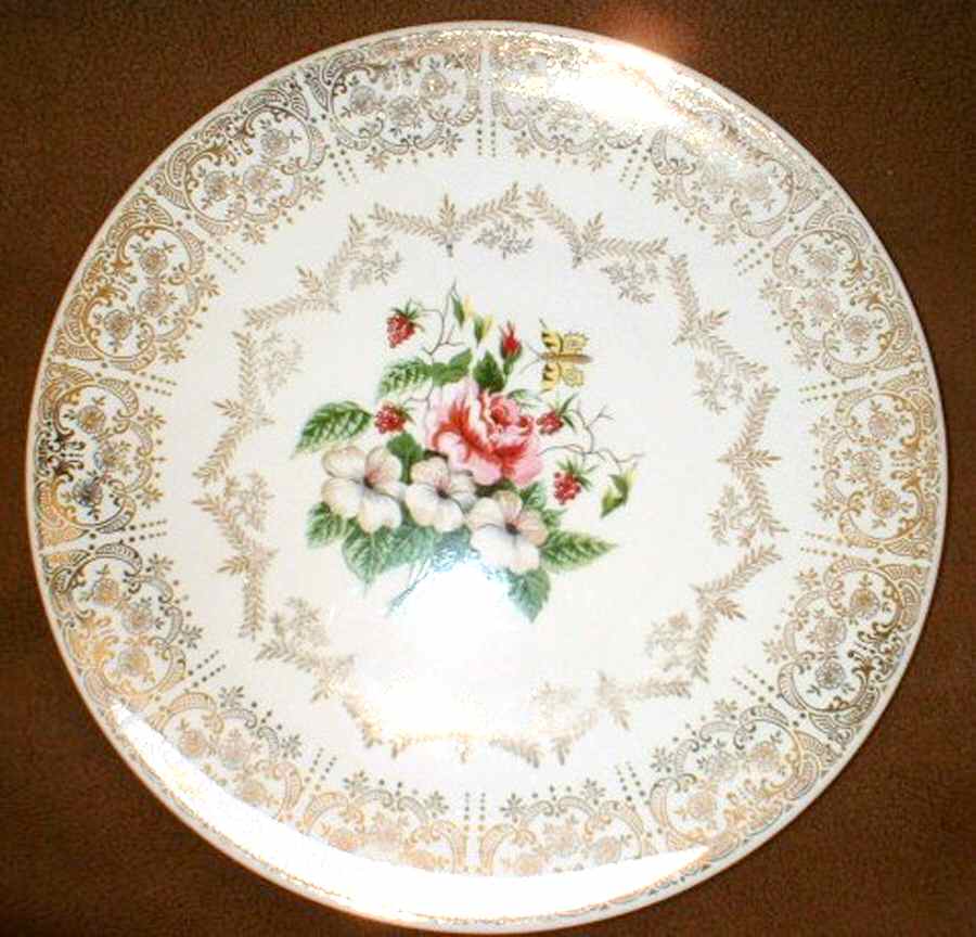 KNO1329 Dinner Plate by Edwin Knowles-1