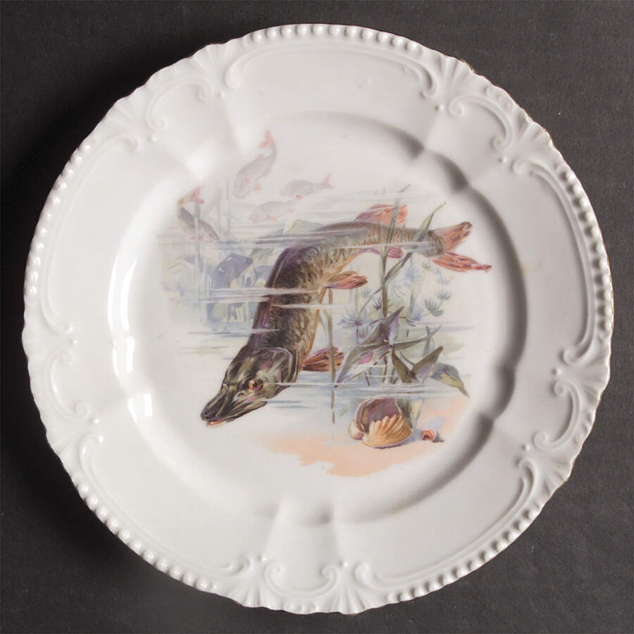 RBA59 Salad Plate by Royal Bavaria-1