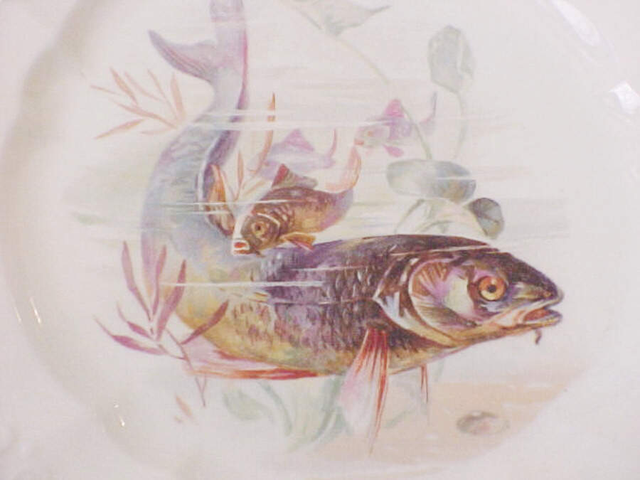 RBA59 Salad Plate by Royal Bavaria-1
