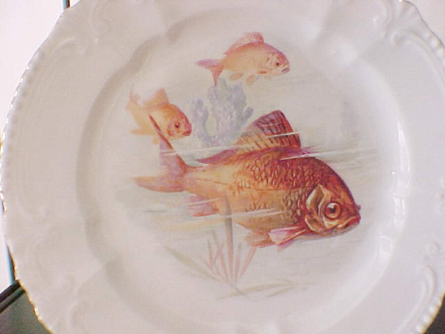RBA59 Salad Plate by Royal Bavaria-1