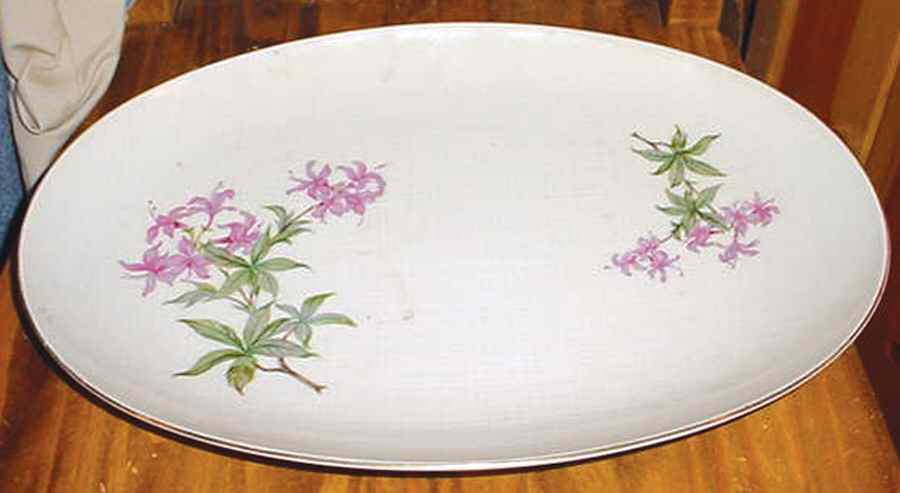 Doriane 12" Oval Serving Platter by Japan-1