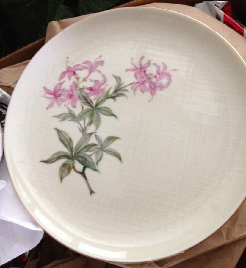 Doriane Dinner Plate by Japan-1