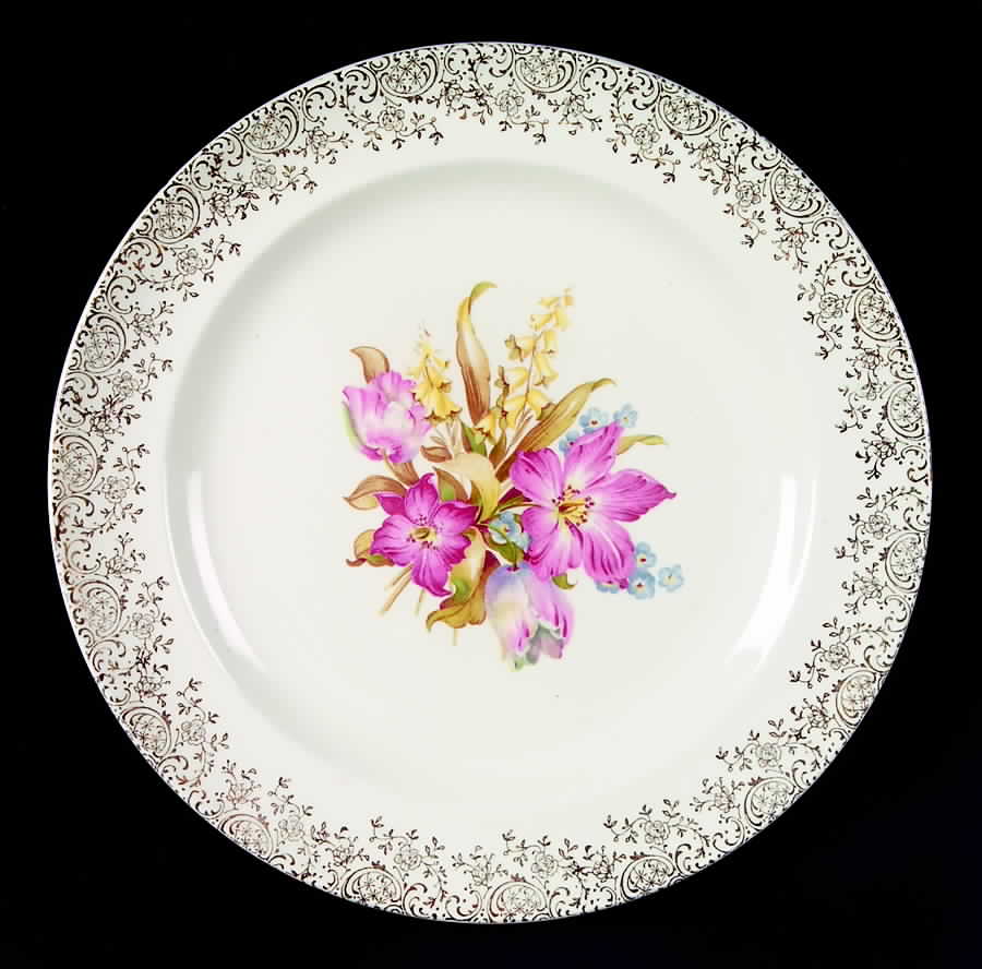 FSX211 Dinner Plate by French Saxon-1