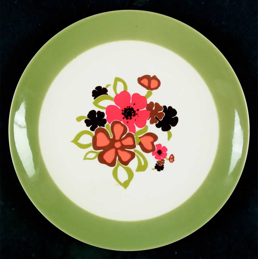 Tampico Dinner Plate by Homer Laughlin -1