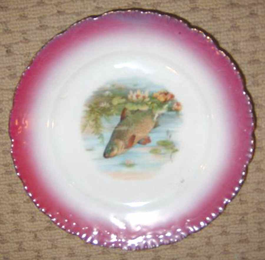 0482 Dinner Plate by Germany-1