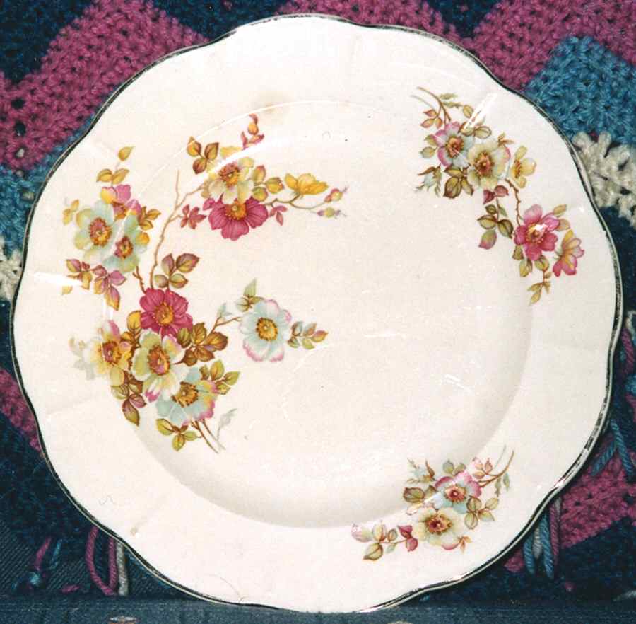 Bramble Dinner Plate by Unknown Manufacturer-1
