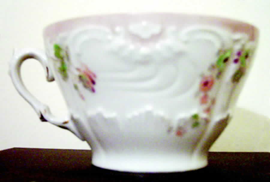 HCZ231 Flat Cup by Haas-Czjzek Coronado-1