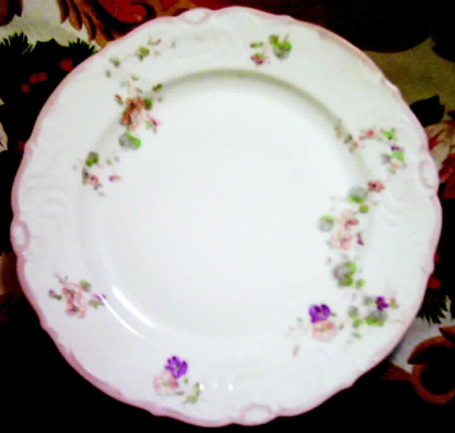 HCZ231 Dinner Plate by Haas-Czjzek Coronado-1