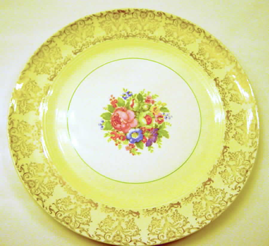 USA26 Dinner Plate by USA-1