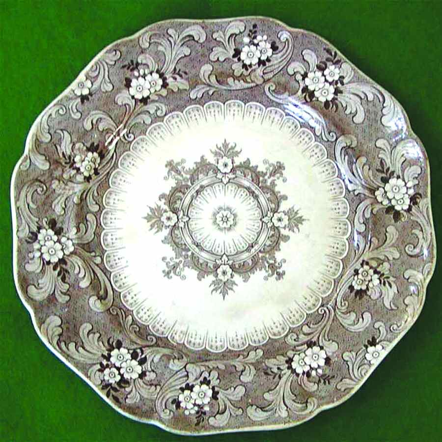 Clarendon Dinner Plate by Ridgway (Ridgways)-1