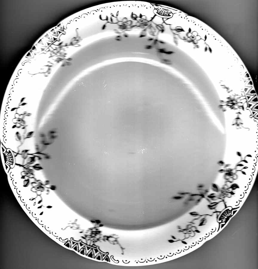 Floral Dinner Plate by England-1