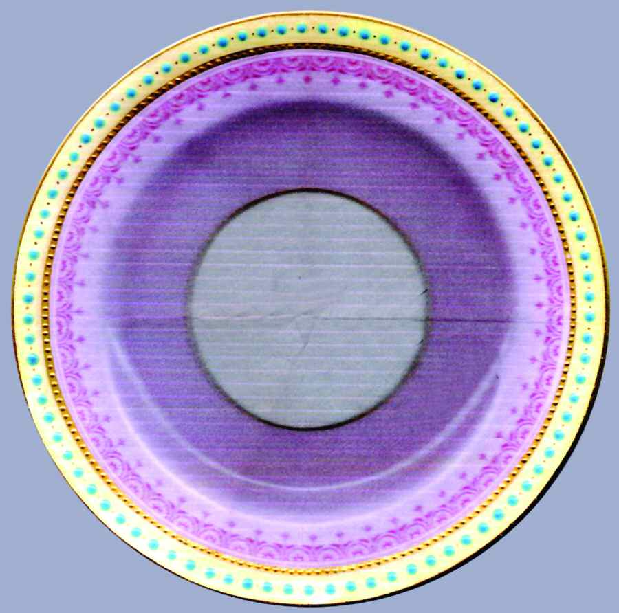 Ww463 Bread & Butter Plate by Wedgwood-1