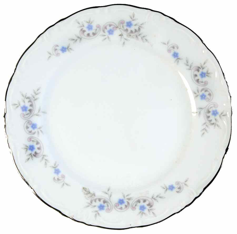 Springtime Bread & Butter Plate by United Surgical Steel-1