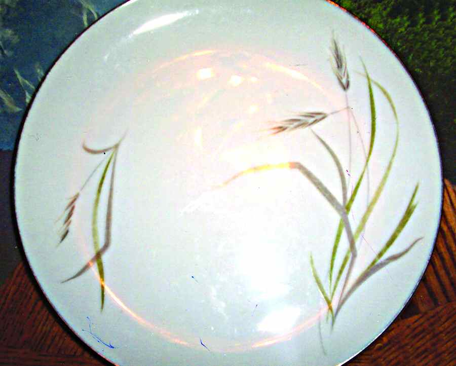 Cadence Dinner Plate by Unknown Manufacturer-1