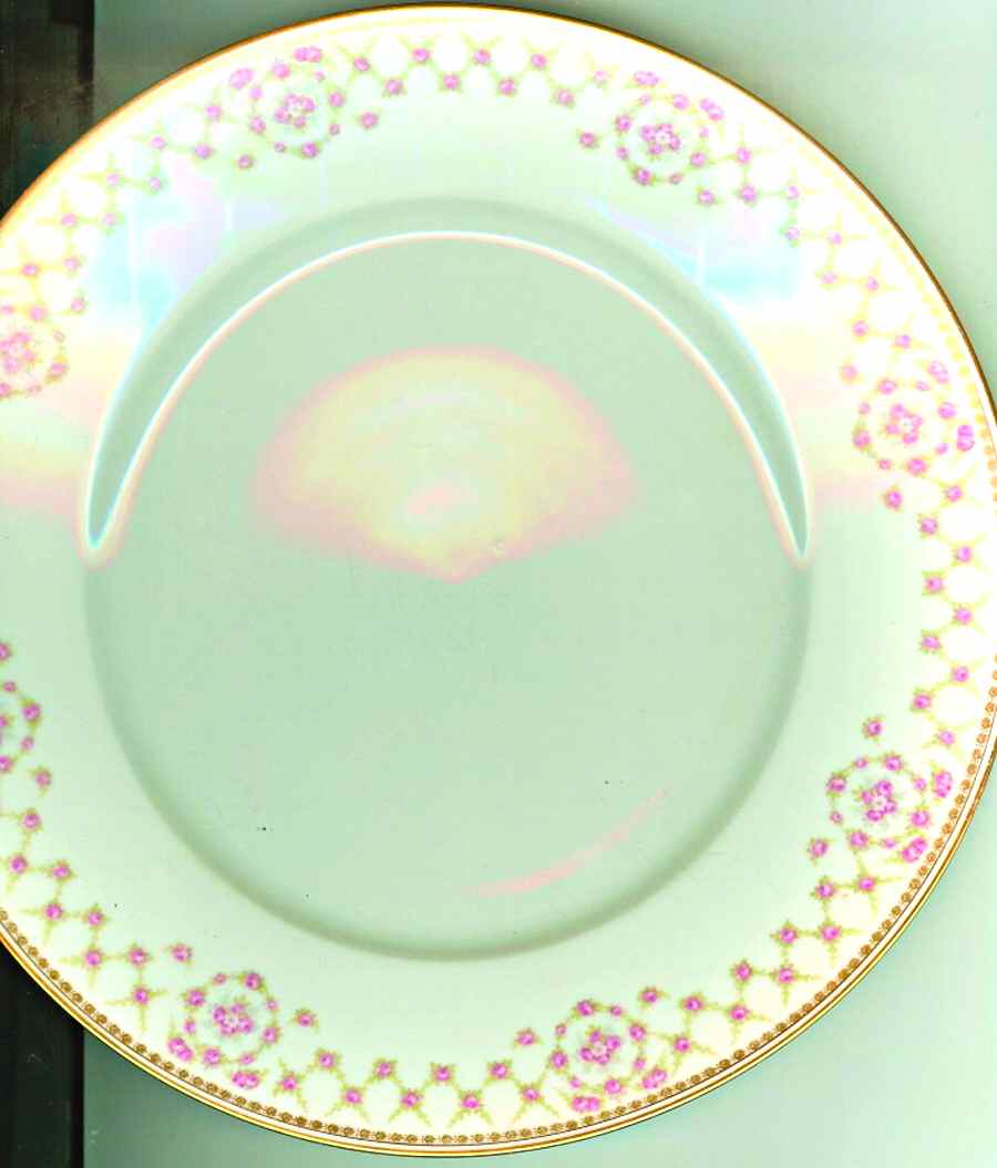 UNC184 Dinner Plate by Union Ceramique-1