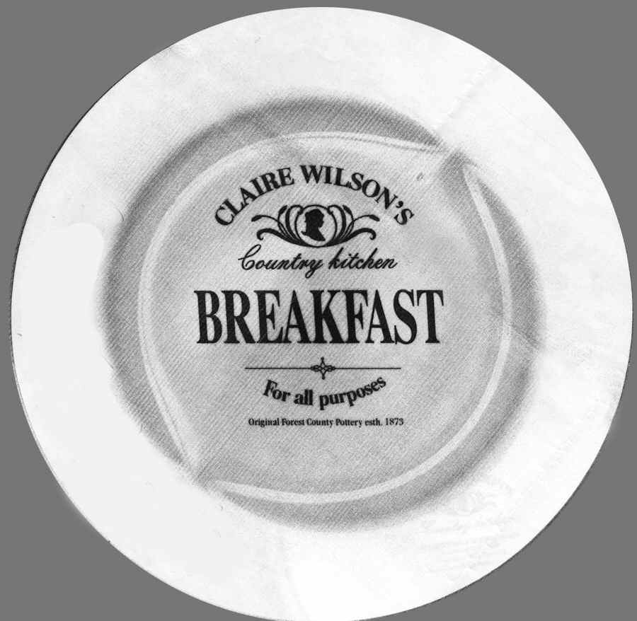 Country Kitchen Salad Plate by China (Made in China)-1