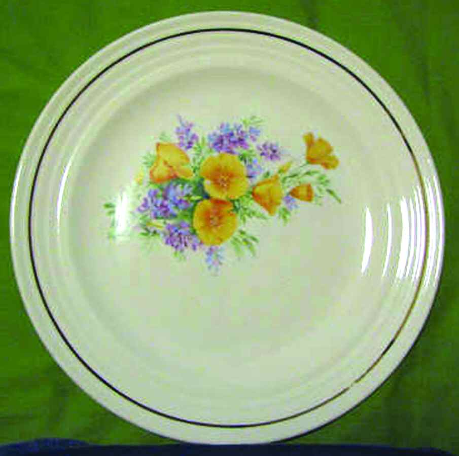 UNI177 Dinner Plate by Universal-1