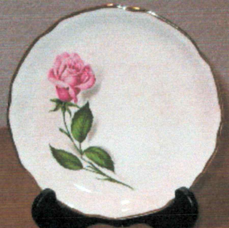 Queen of Roses Bread & Butter Plate by Mount Clemens-1