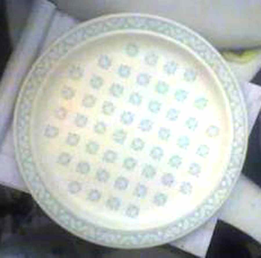 Spring Waltz Dinner Plate by Royal (USA)-1
