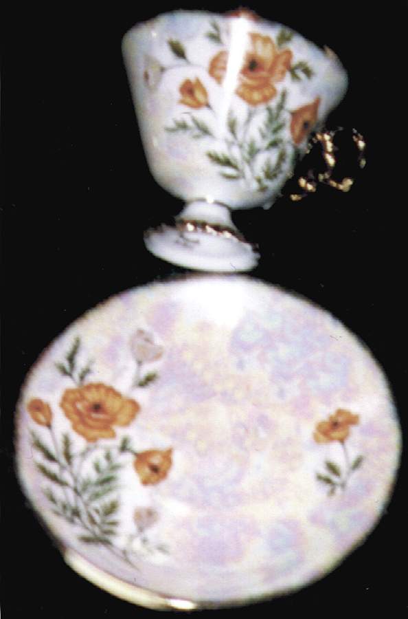 Flower of the Month Footed Cup & Saucer Set by Ucagco-1