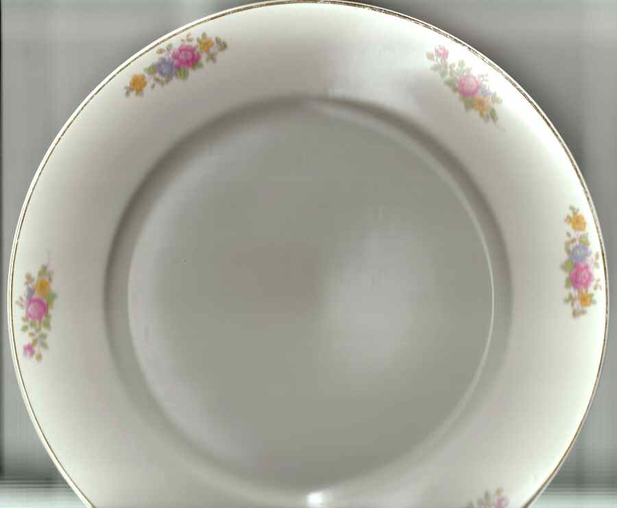 USA48 Dinner Plate by USA-1