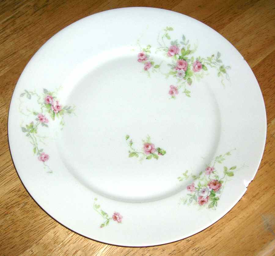 UNC192 Dinner Plate by Union Ceramique-1