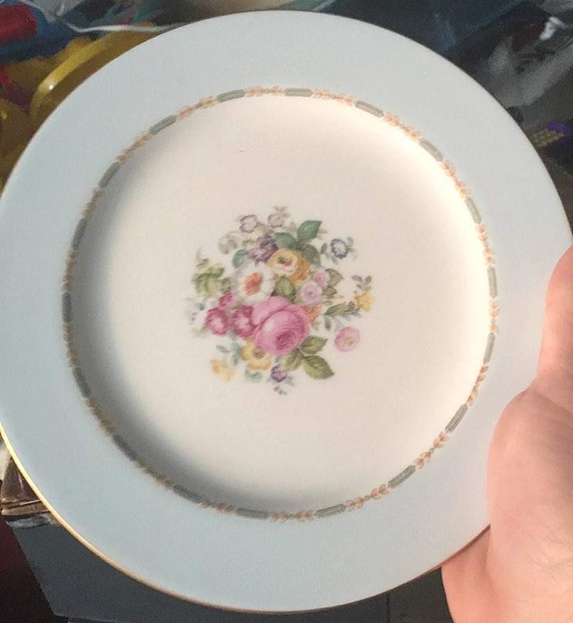 JAP1442 Dessert/Pie Plate by Japan-1