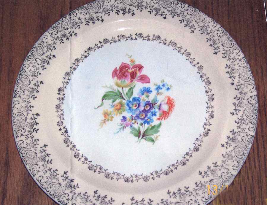 USA30 Ivory Dinner Plate by USA-1