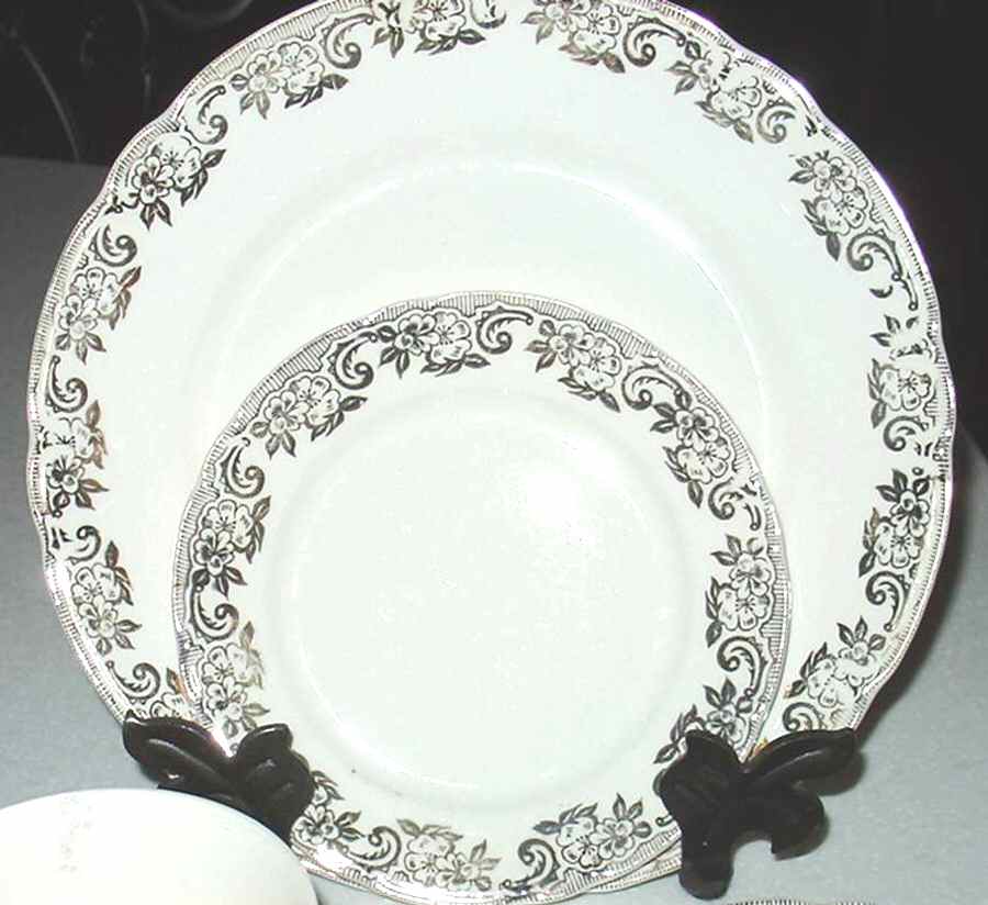 ILL33 Dinner Plate by Illinois China -1