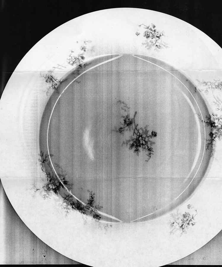 UNC201 Dinner Plate by Union Ceramique-1