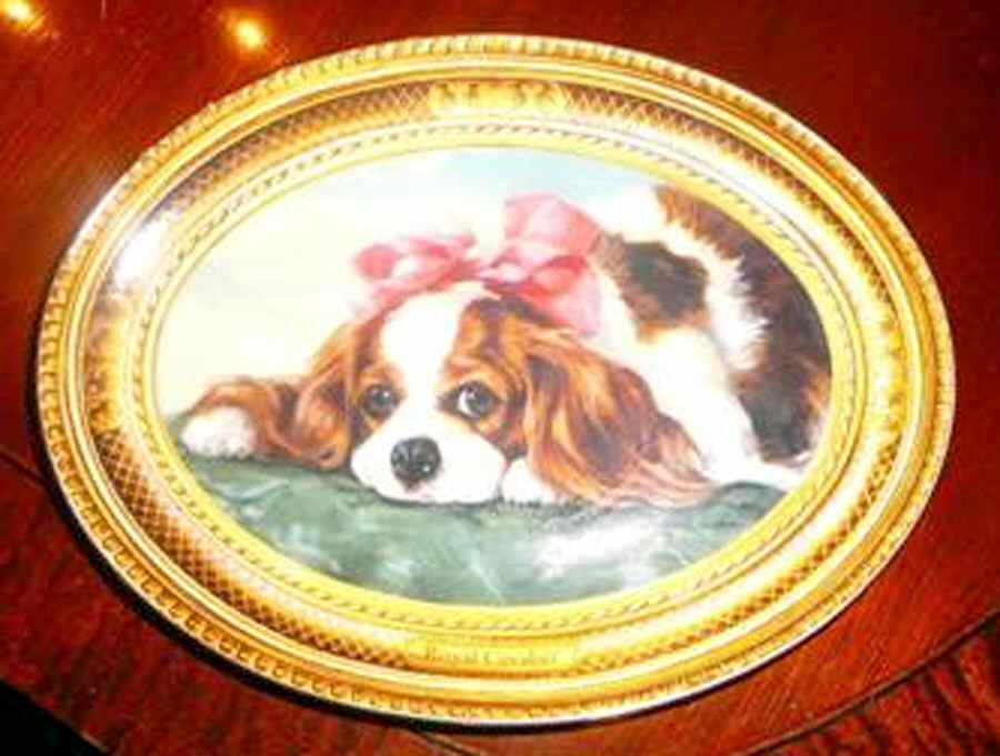 Royal Cavalier 12" Oval Serving Platter by Unknown Manufacturer-1