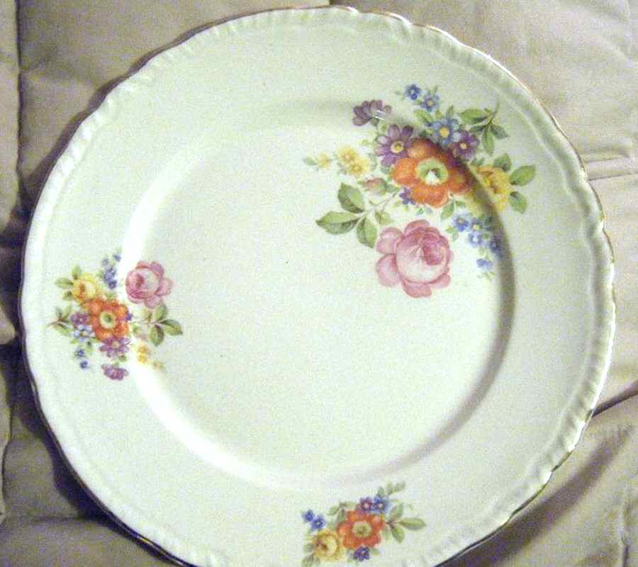 USA64 Dinner Plate by USA-1
