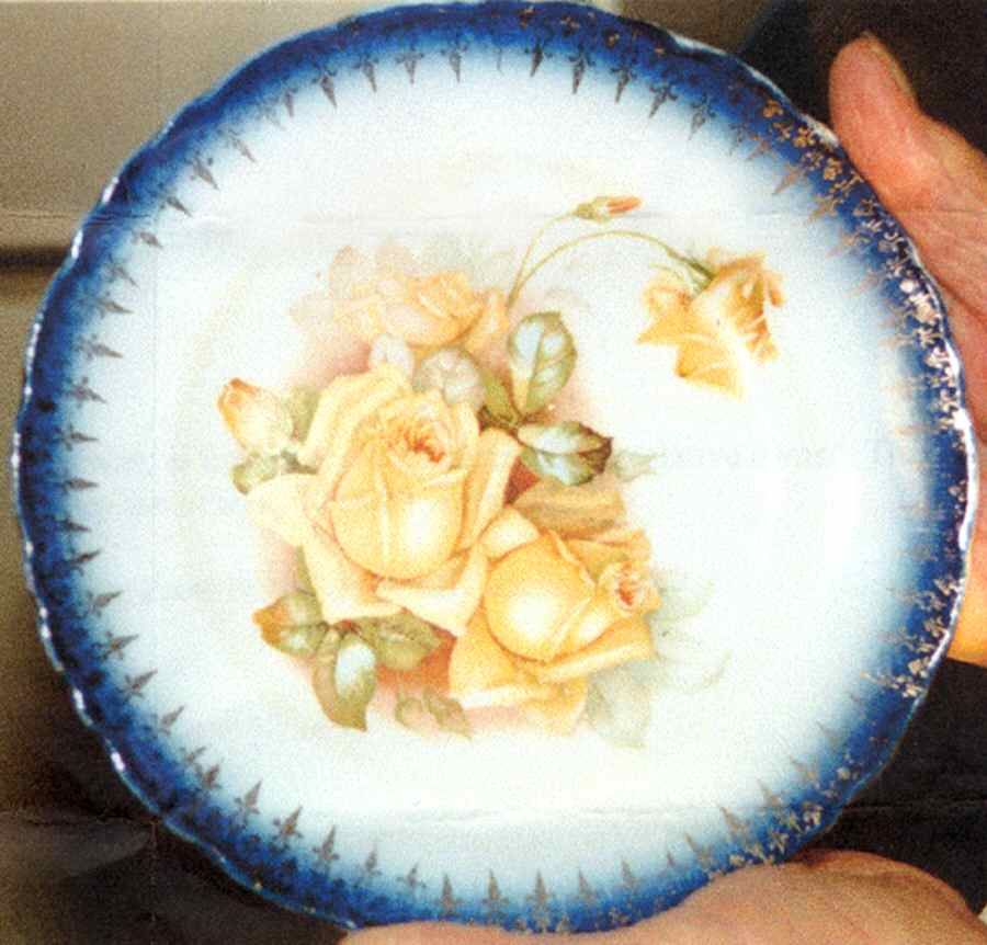 M3N1 Dinner Plate by Mintone-1