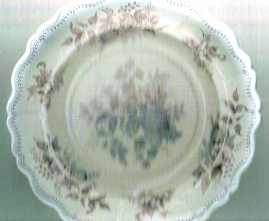 Fruit Garden Dinner Plate by Unknown Manufacturer-1