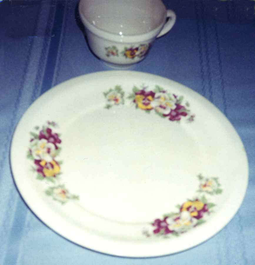USA71 Dinner Plate by USA-1