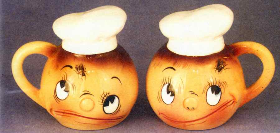 Oh My a Fly Salt & Pepper Set by Ucagco-1