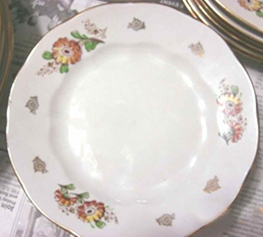 RUS12 Dinner Plate by Russia-1